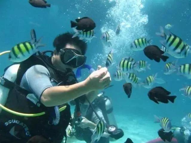 三亚酒店预订量暴增3倍！“报复性旅游”这是要来了吗？游戏画面